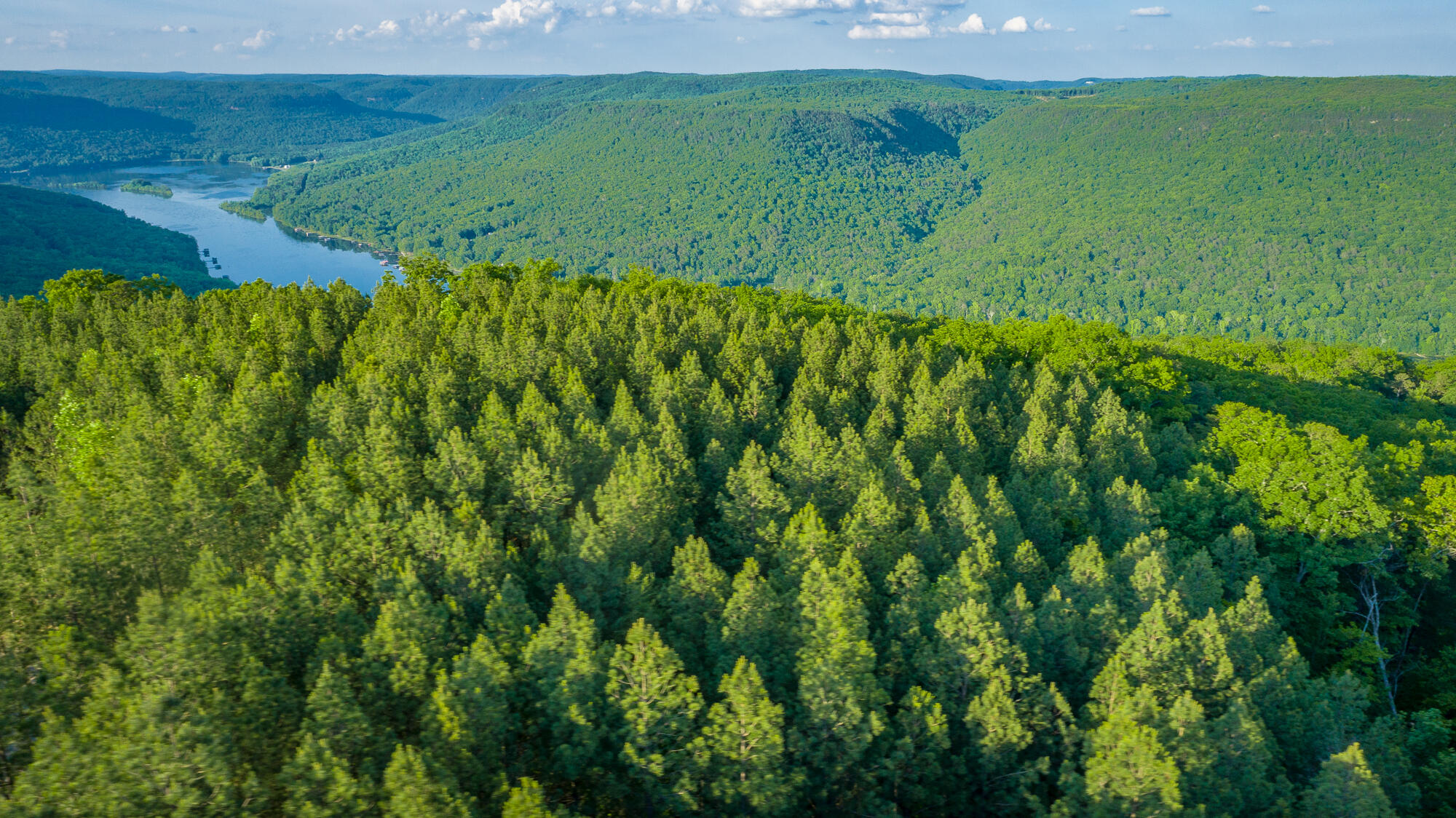 0 Back Basin Trail, Unit LOT 1244 Chattanooga, TN 37419 - Photo 53 of 119 0 Back Basin Trail - Lot 1244 HD-8