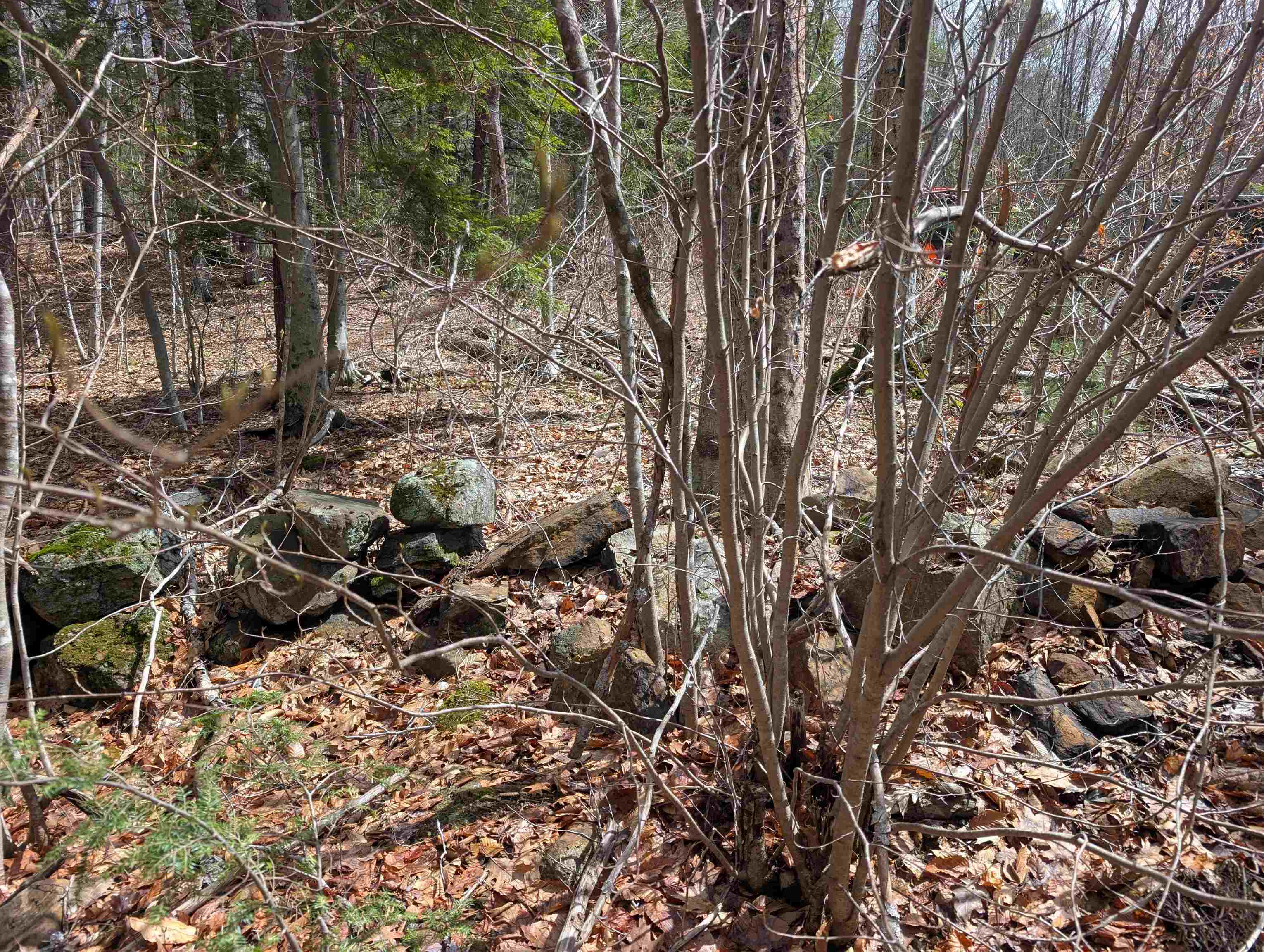 21 Jewett Road Weare, NH 03281 - Photo 3 of 18 Gallery Image 3