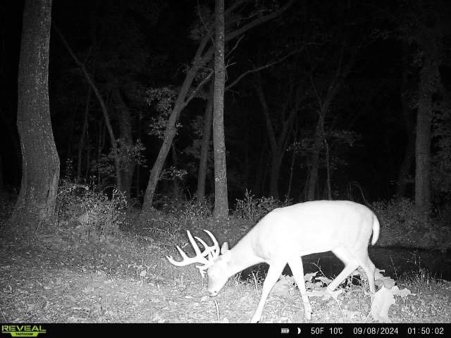 Xx Xx Simons Road Mondovi, WI 54755 - Photo 6 of 45