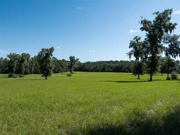a view of a field of grass and trees