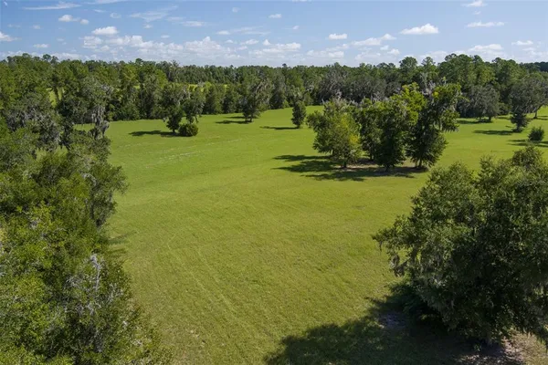 a view of a big yard with large trees and plants