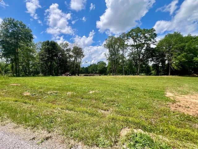 a view of a field with trees in the background