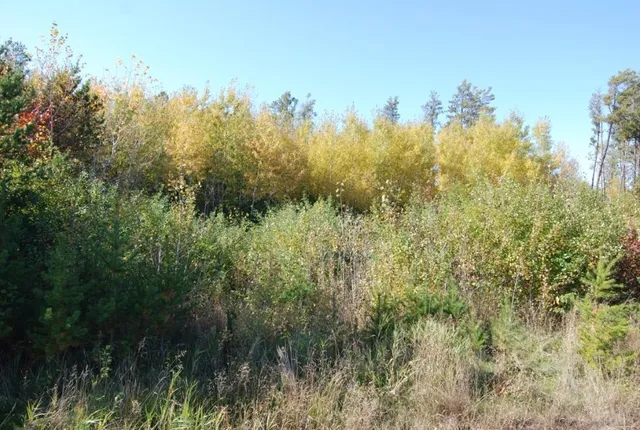 $19,500 | L11-b1 Meadow Court, Baxter, MN 56425