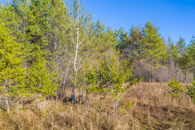 $19,500 | L11-b1 Meadow Court, Baxter, MN 56425