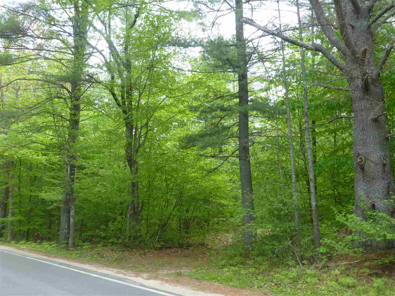 41 Union Wharf Road Tuftonboro, NH 03853 - Photo 11 of 14 Gallery Image 11