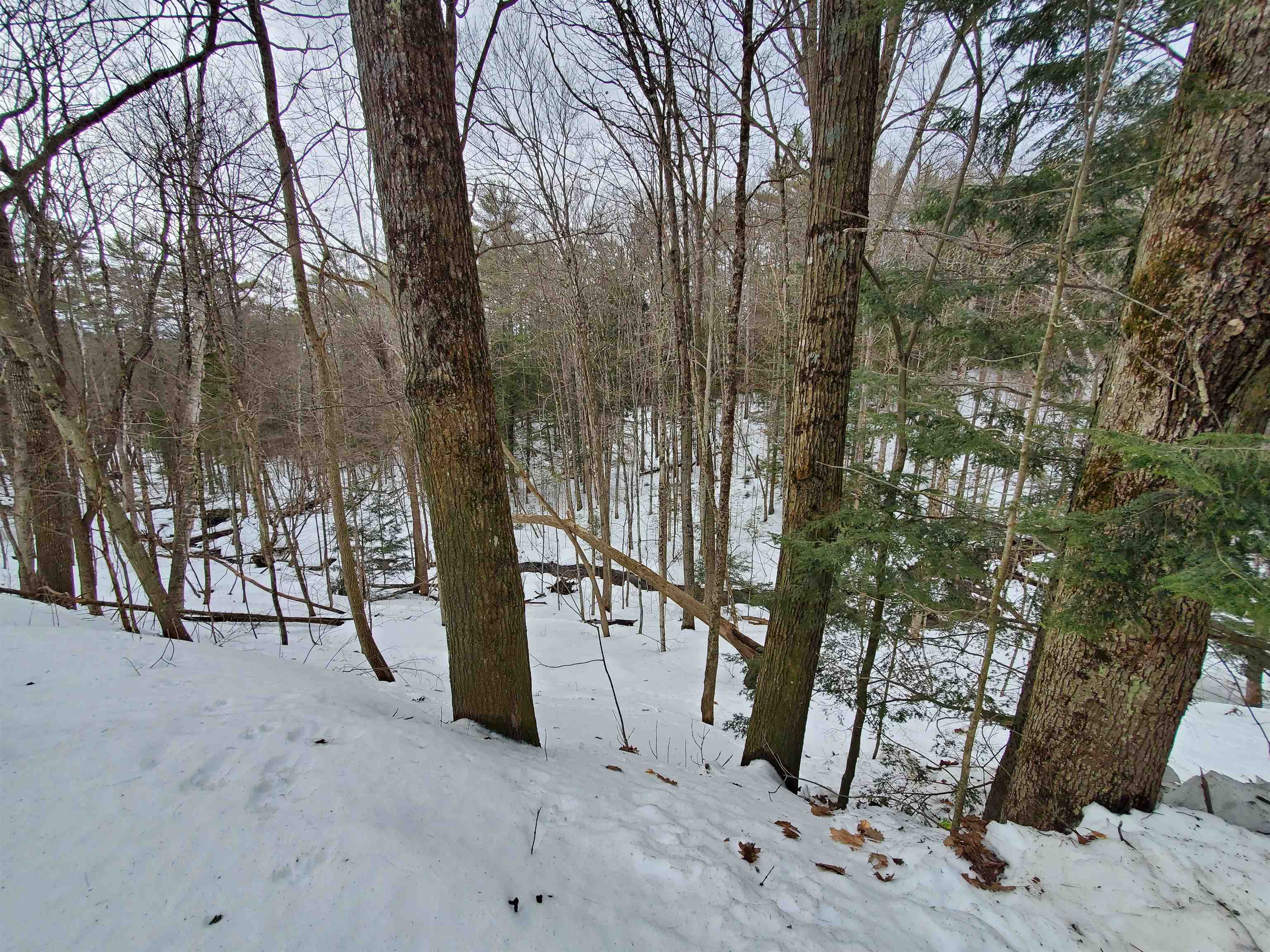 30 Fox Hill Road Canaan, NH 03741 - Photo 23 of 25