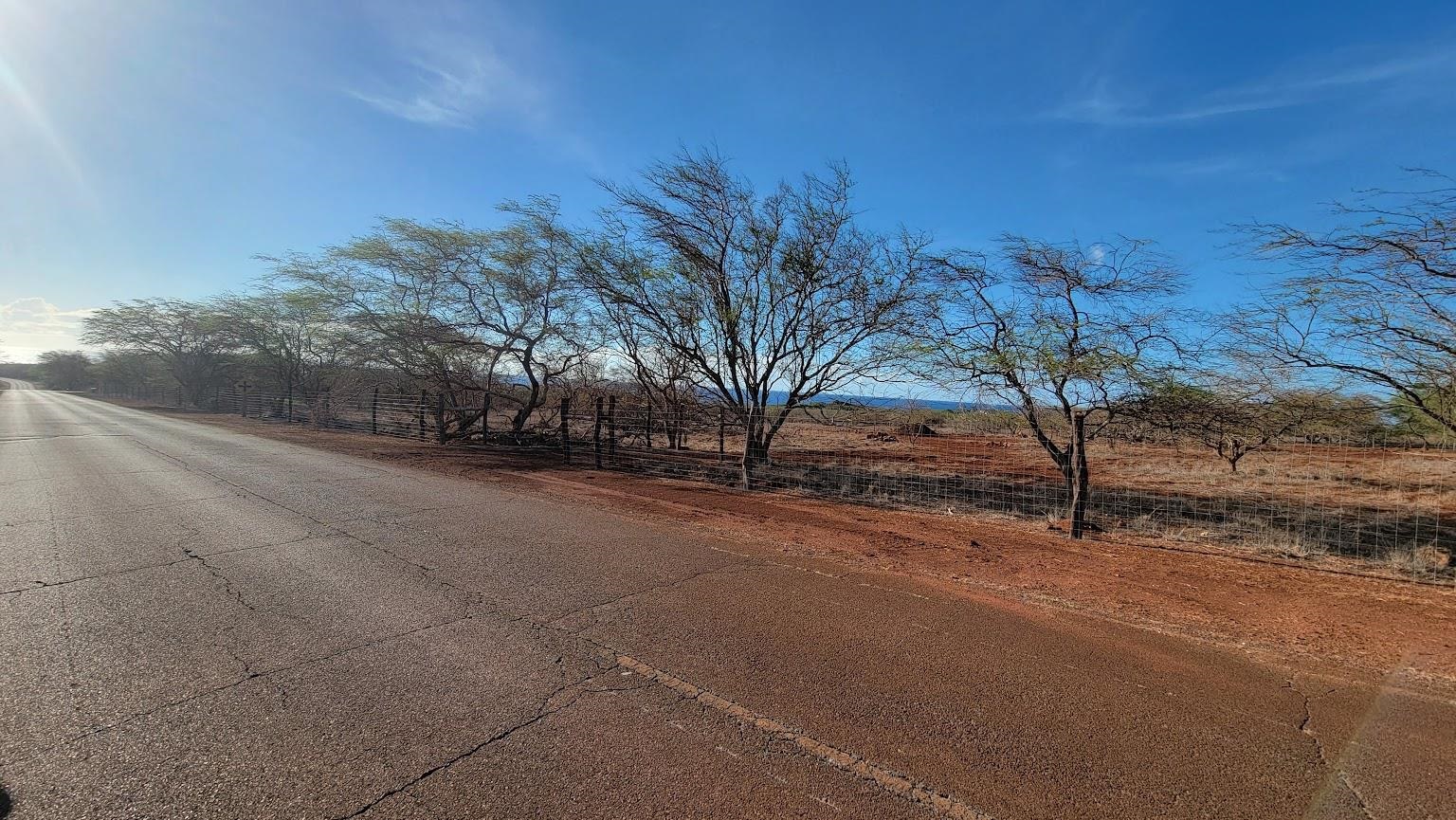 4040 Pohakuloa Road, Unit LOT 231 Maunaloa, HI 96770 - Photo 12 of 12 a view of road with large trees