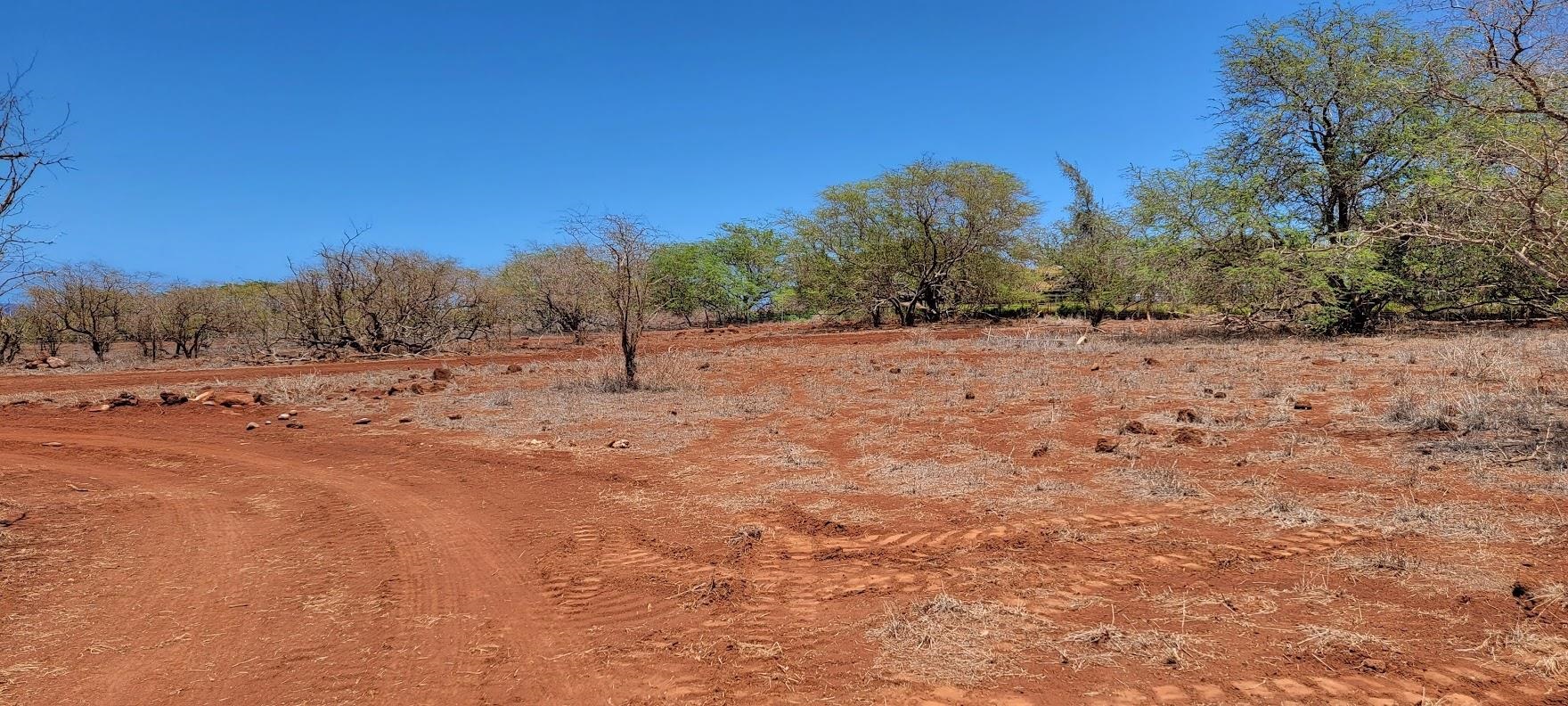 4040 Pohakuloa Road, Unit LOT 231 Maunaloa, HI 96770 - Photo 4 of 12 a view of dirt road with a building in the background
