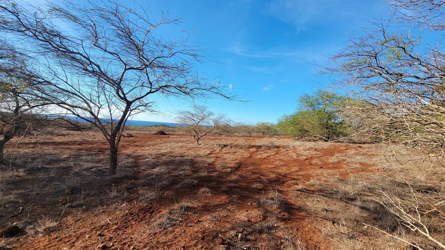 4040 Pohakuloa Road, Unit LOT 231 Maunaloa, HI 96770 - Photo 7 of 12 a view of a yard with a tree