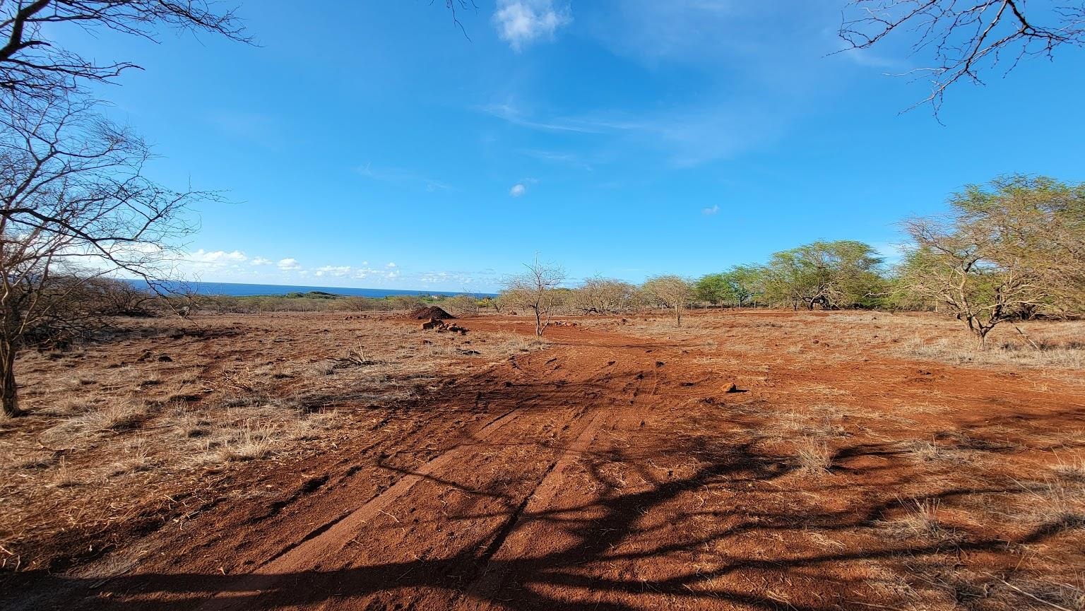 4040 Pohakuloa Road, Unit LOT 231 Maunaloa, HI 96770 - Photo 9 of 12 a view of yard with wooden floor
