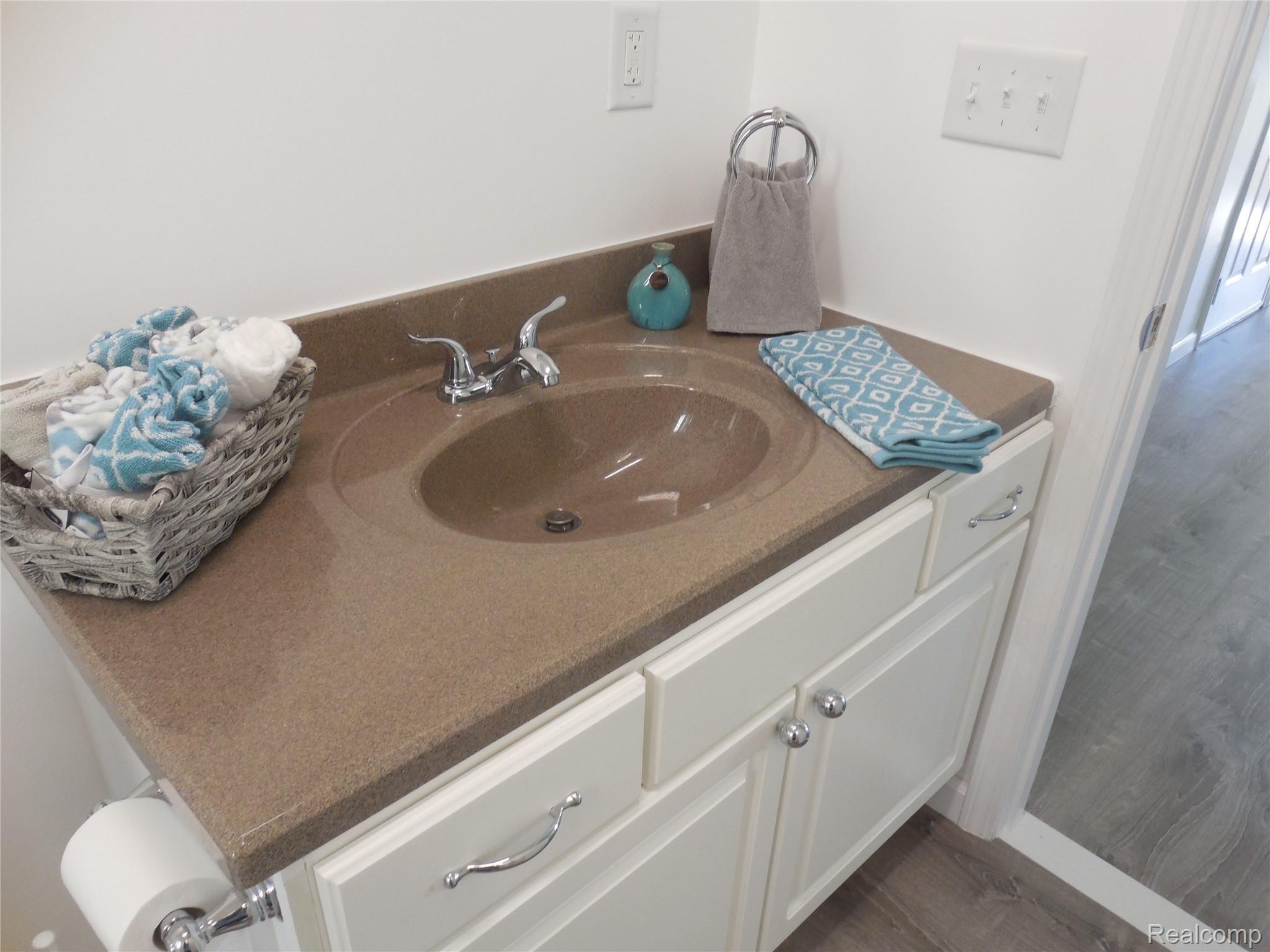 117 Rexton Street Novi, MI 48377 - Photo 16 of 66 Great touches to the bathroom