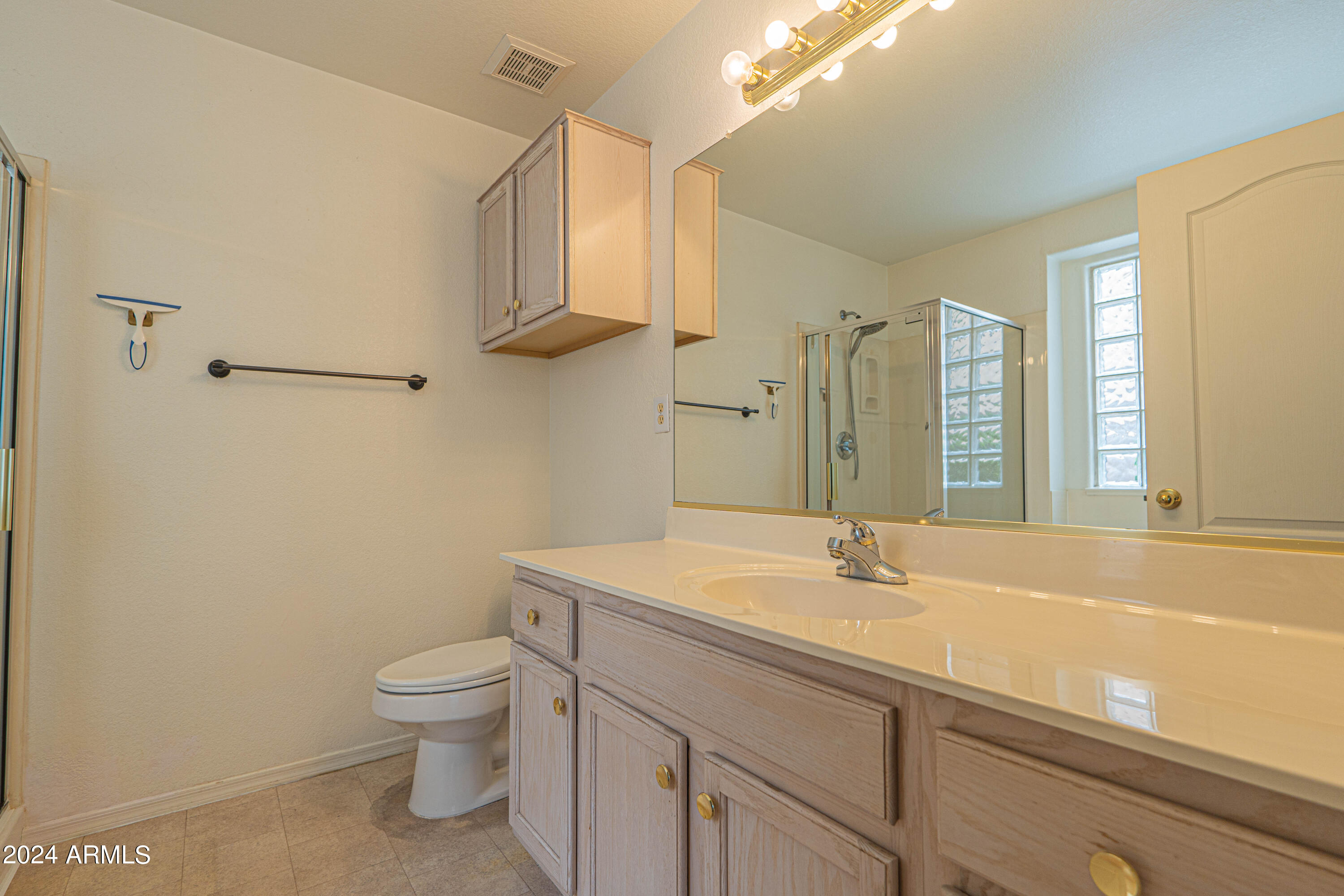 1729 East Del Rio Street Gilbert, AZ 85295 - Photo 11 of 19 a bathroom with a sink a toilet and a mirror