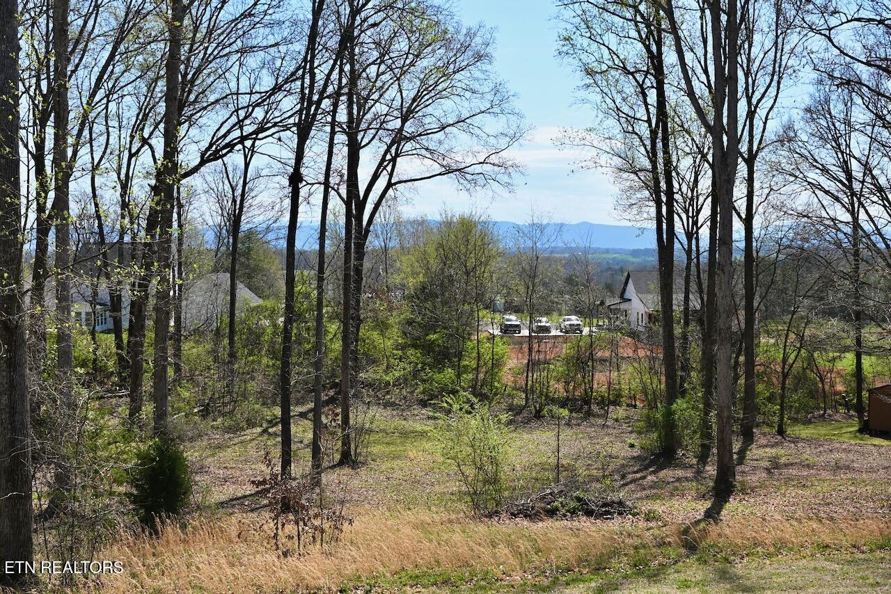 1261 Houston Springs Road Greenback, TN 37742 - Photo 46 of 49 DSC_0371