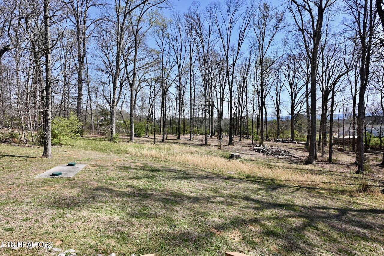 1261 Houston Springs Road Greenback, TN 37742 - Photo 47 of 49 DSC_0372