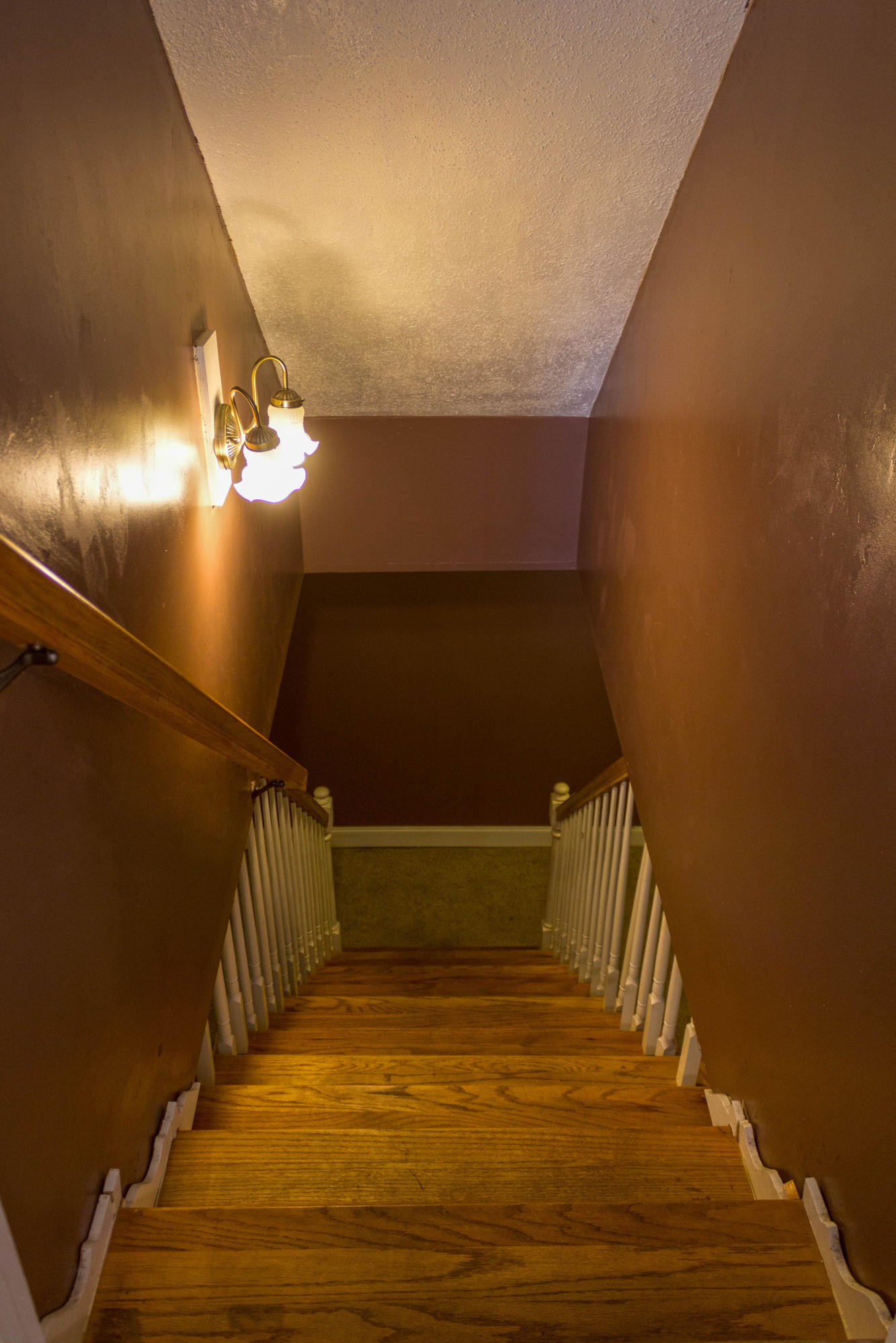 1916 Morris Hill Road Chattanooga, TN 37421 - Photo 37 of 50 Basement Stairs HDR
