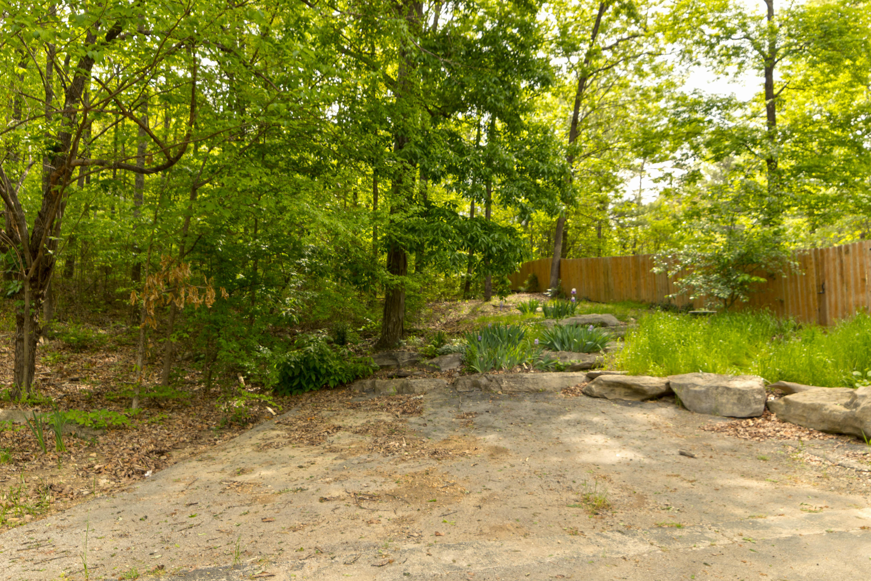 1916 Morris Hill Road Chattanooga, TN 37421 - Photo 44 of 50 Side Yard HDR
