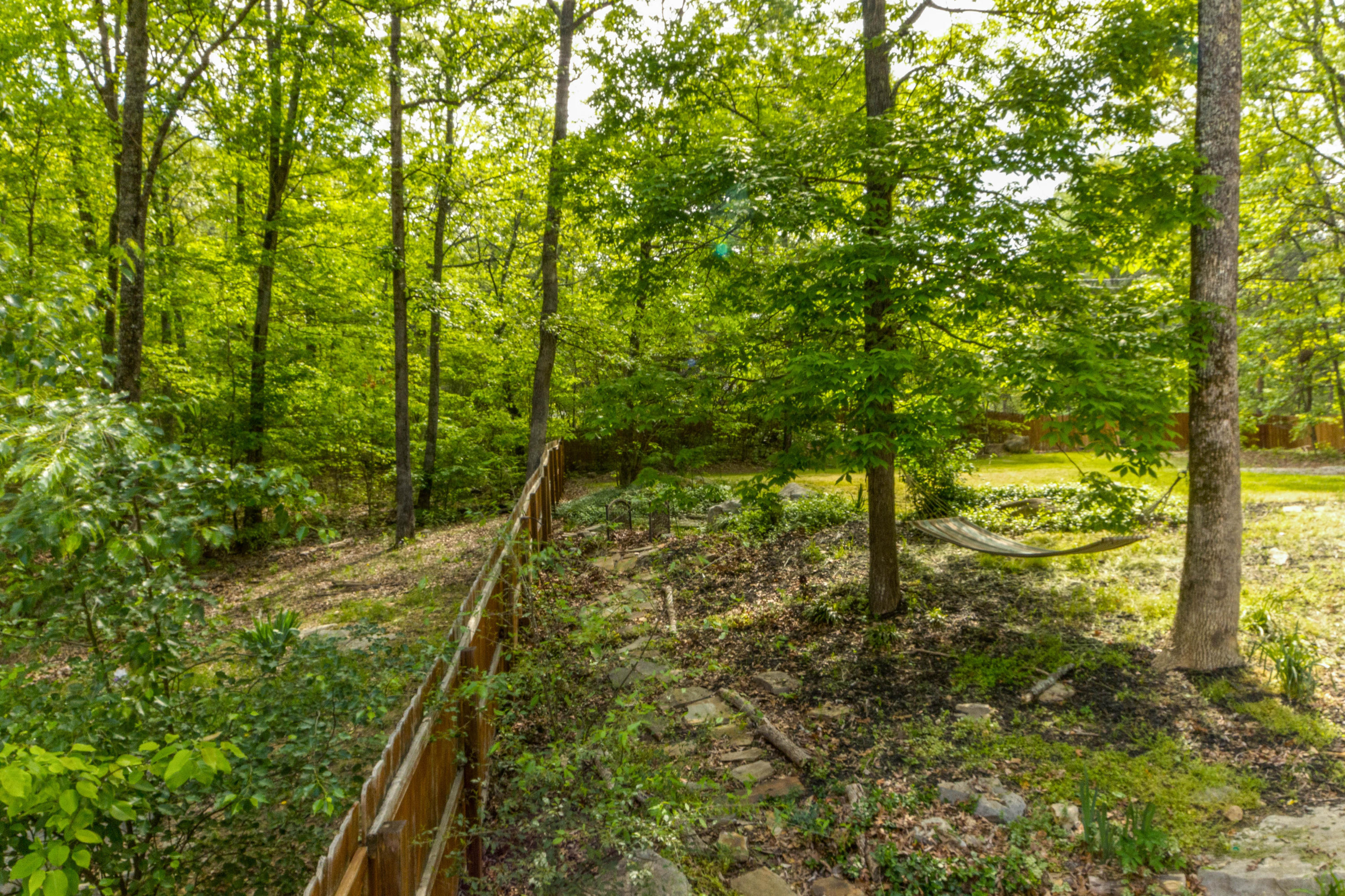 1916 Morris Hill Road Chattanooga, TN 37421 - Photo 48 of 50 Backyard HDR