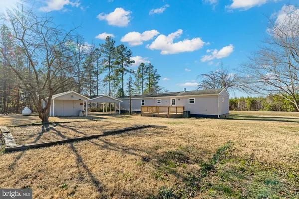 a view of a large tree in front of a house