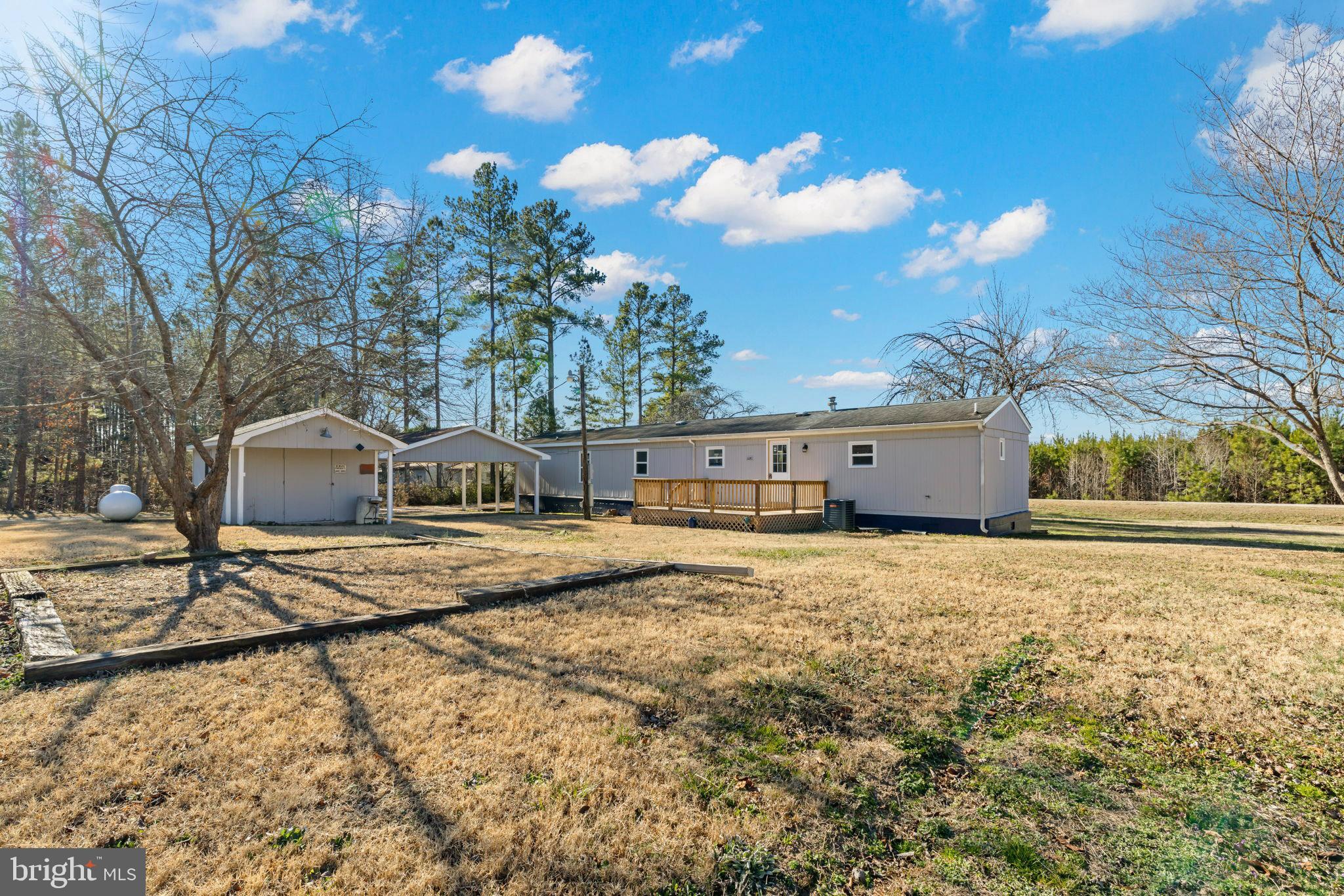 870 South Hill Road Brodnax, VA 23920 - Photo 1 of 39 a view of a large tree in front of a house