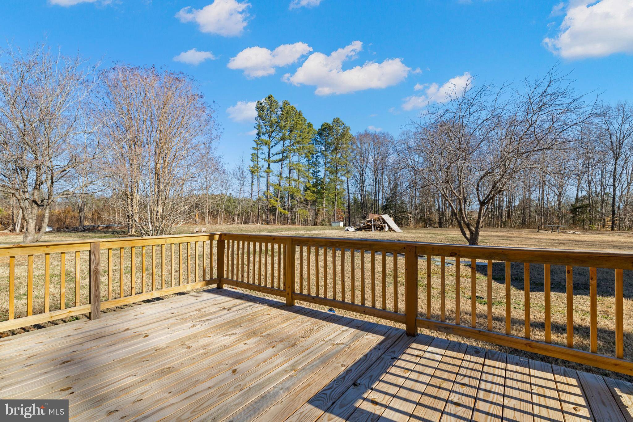 870 South Hill Road Brodnax, VA 23920 - Photo 14 of 39 a view of a wooden balcony with trees