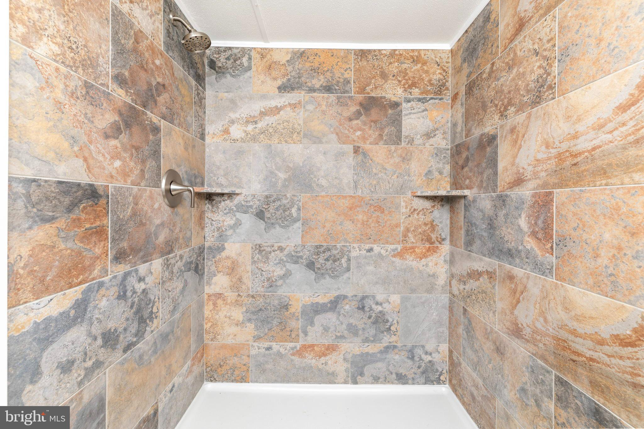 870 South Hill Road Brodnax, VA 23920 - Photo 33 of 39 a view of a bathroom shower