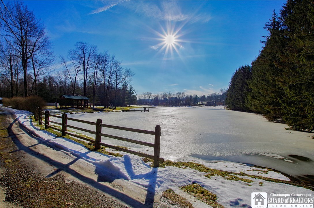 46 Coleman Road Busti, NY 14701 - Photo 3 of 50