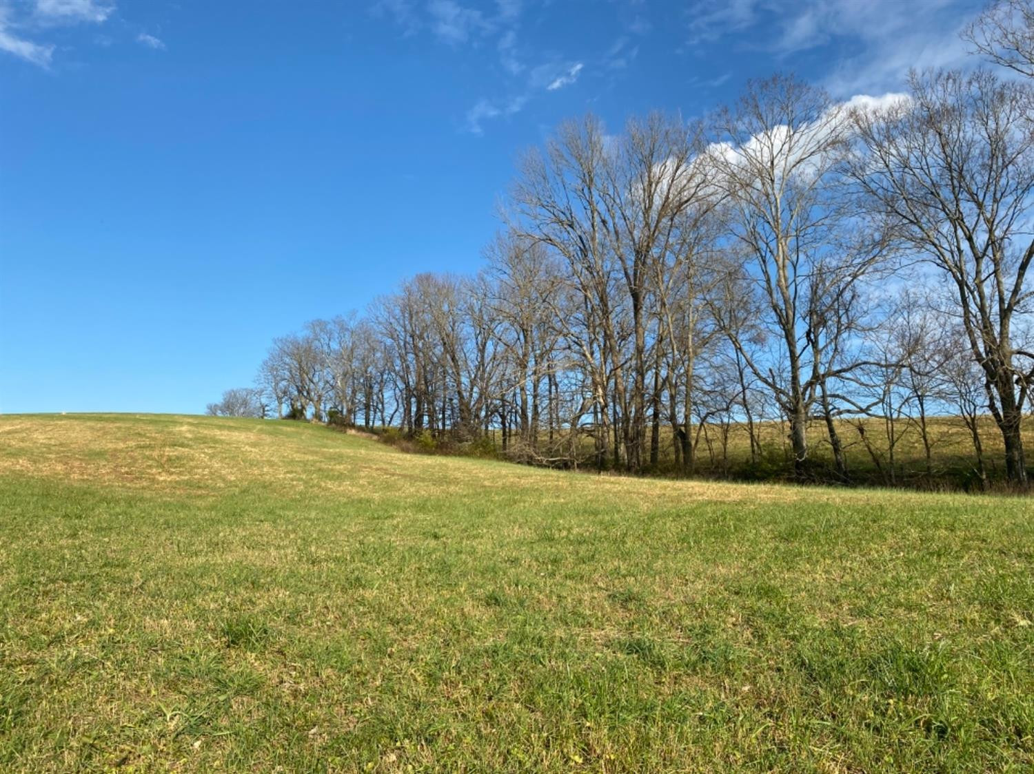 591 Rockridge Road Paris, KY 40361 - Photo 17 of 61 Photo 17
