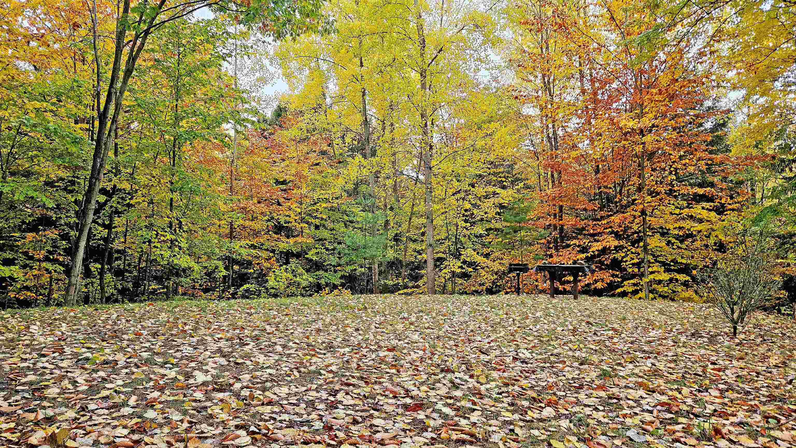 82-107 Moon Ridge Road, Unit LOT: 82,107 Onekama, MI 49675 - Photo 11 of 48