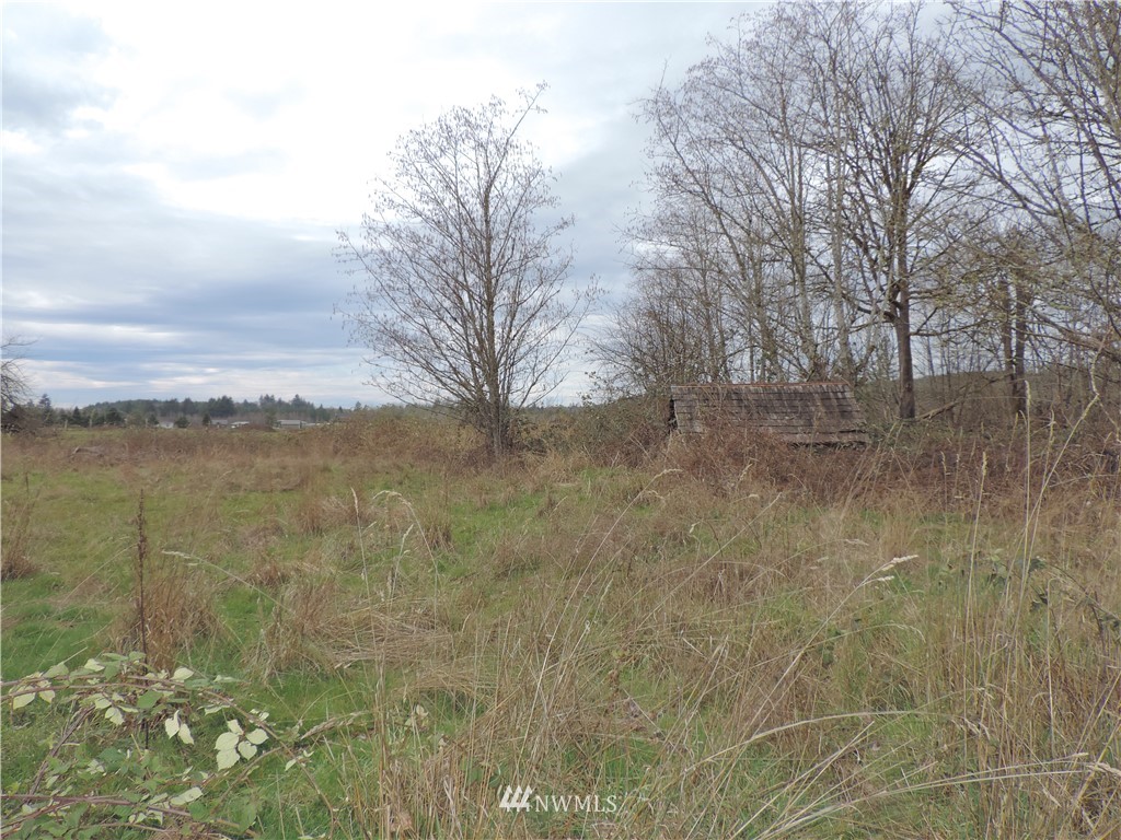 274 Fuller Road Salkum, WA 98582 - Photo 11 of 14 Gallery Image 11