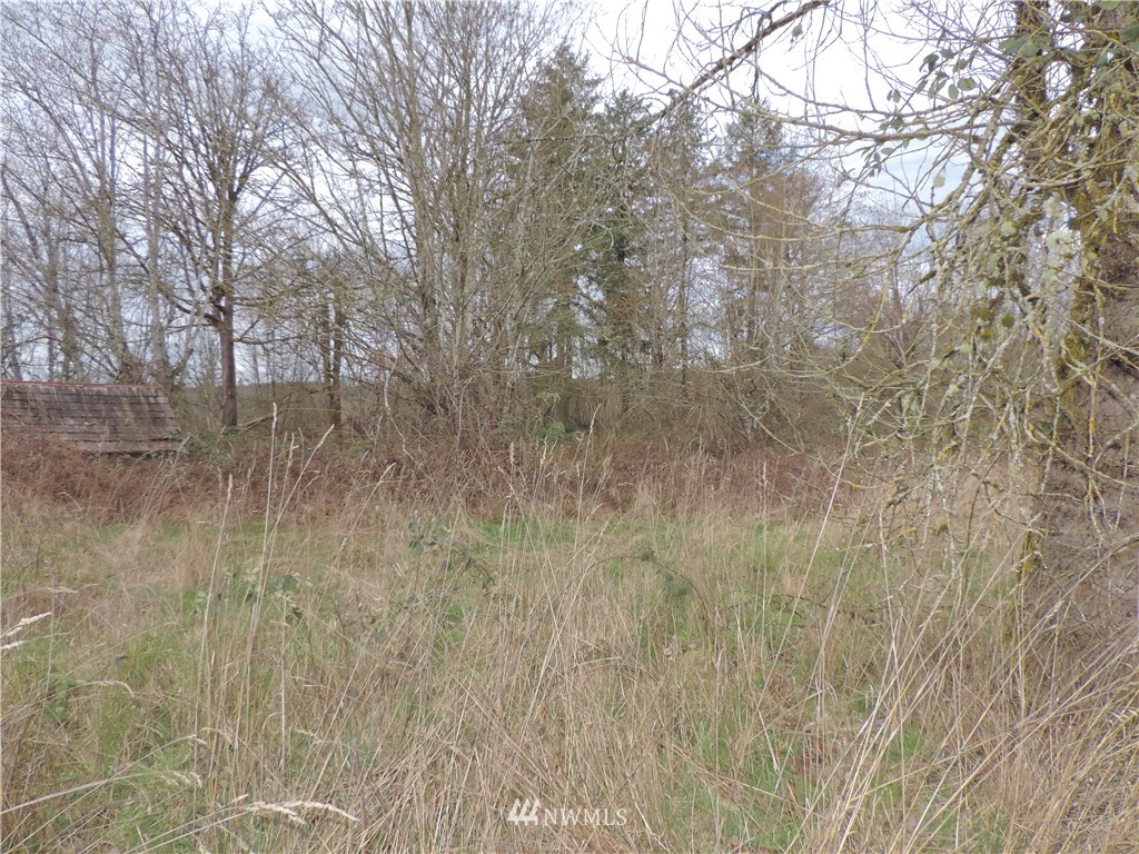 274 Fuller Road Salkum, WA 98582 - Photo 10 of 14 Gallery Image 10