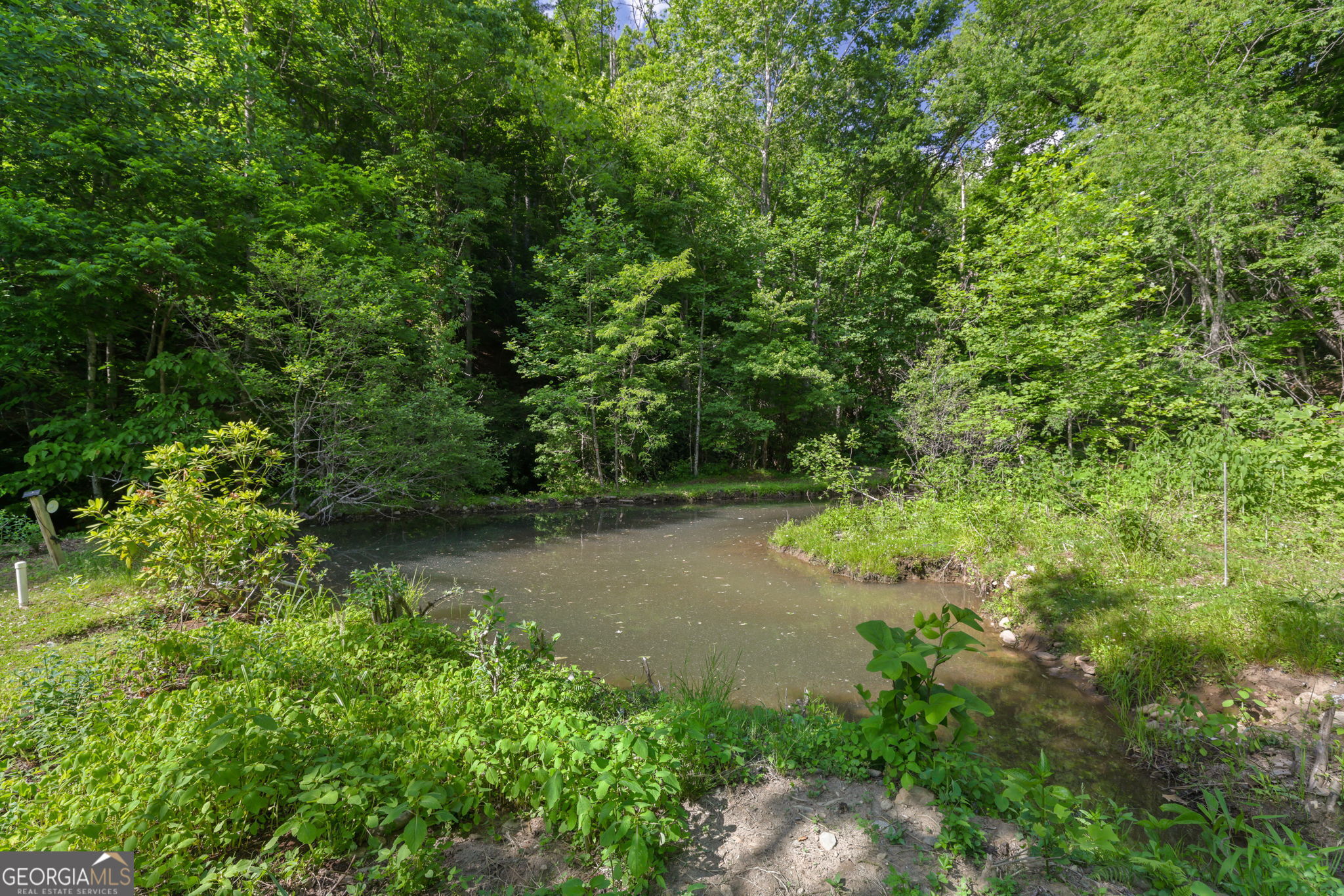544 Darnell Creek Road Rabun Gap, GA 30568 - Photo 5 of 96