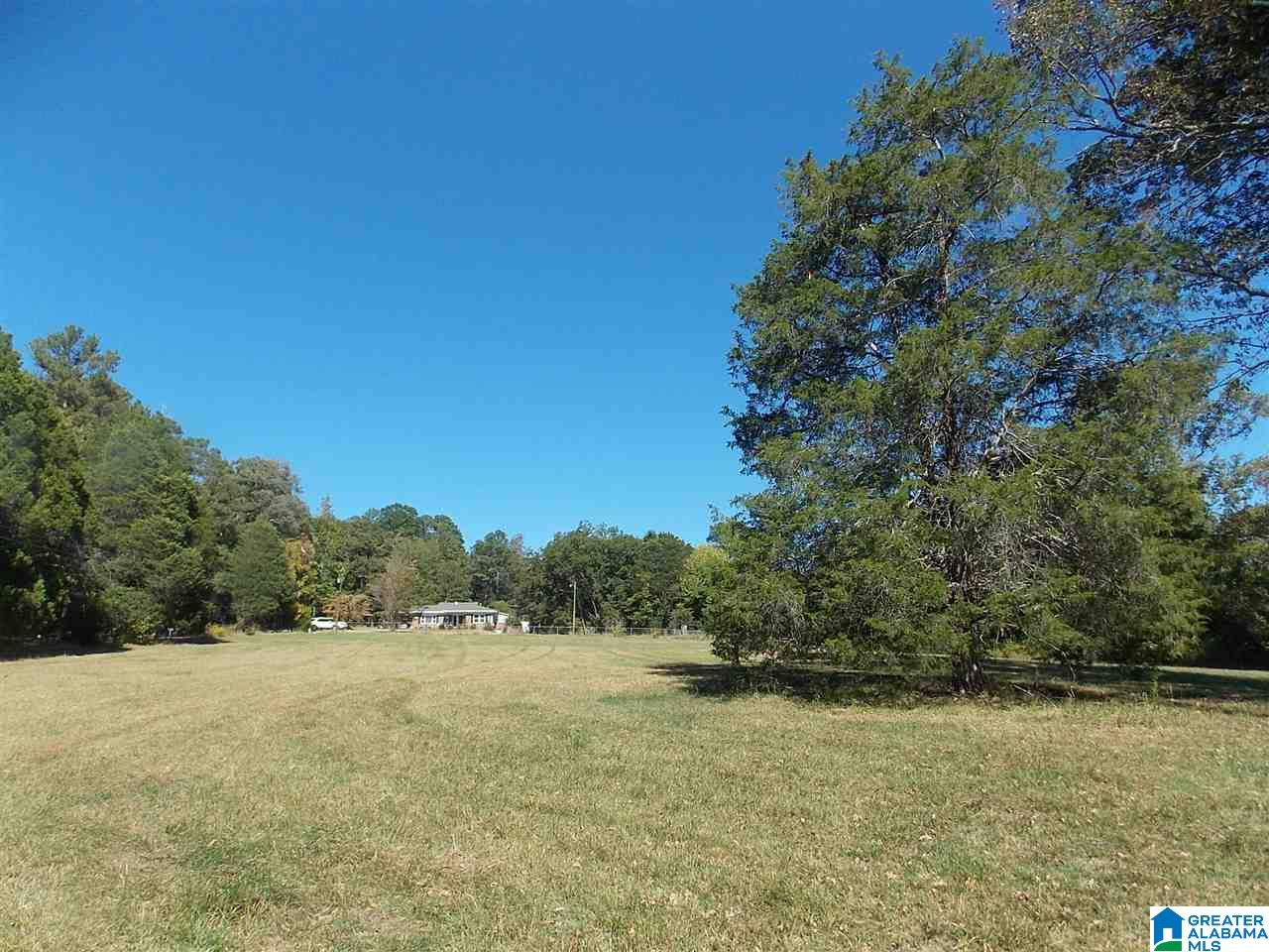680 Brooks Lane Oneonta, AL 35121 - Photo 3 of 27