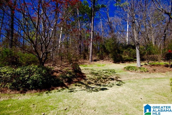 105 Heather Ridge Drive Pelham, AL 35124 - Photo 43 of 48