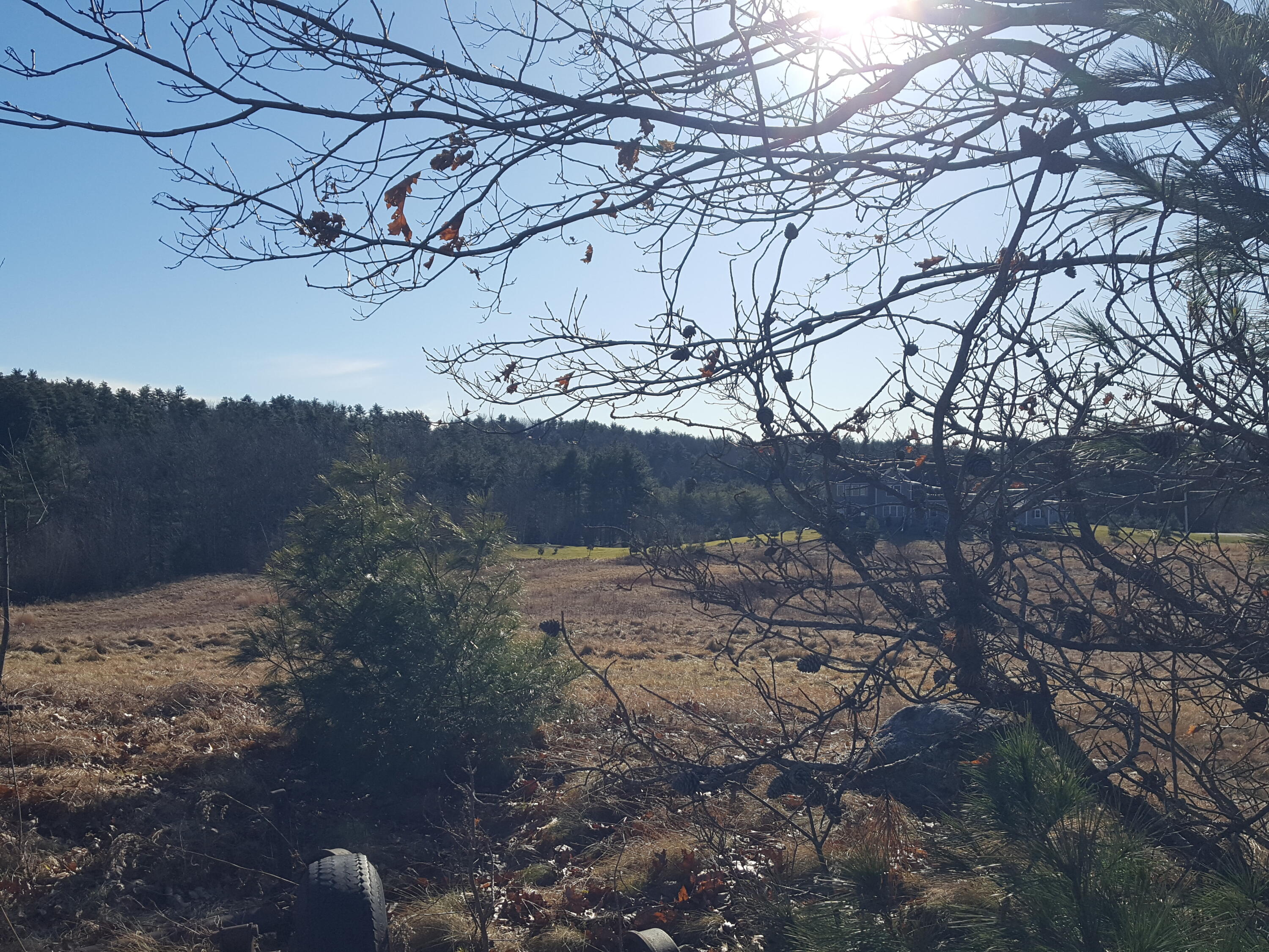 88 Mitchell Hill Road Gorham, ME 04038 - Photo 30 of 99 20231220_122654