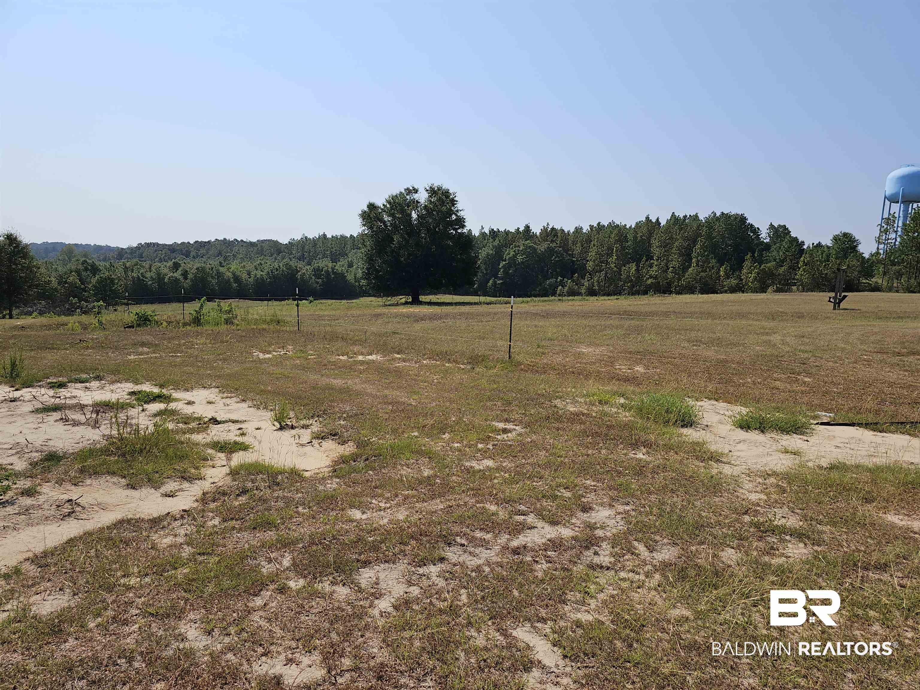 0 Chunchula Highlands Road Chunchula, AL 36521 - Photo 9 of 10