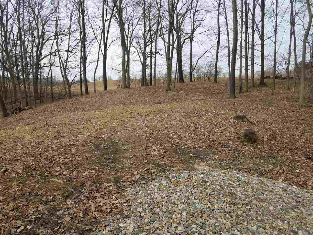 441 East Dryden Road Metamora, MI 48455 - Photo 11 of 17