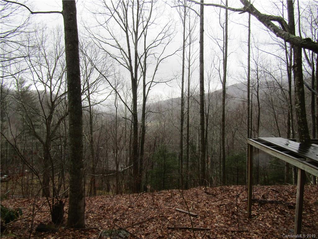 591 Quail Cove Road, Unit 23 Clyde, NC 28721 - Photo 10 of 11
