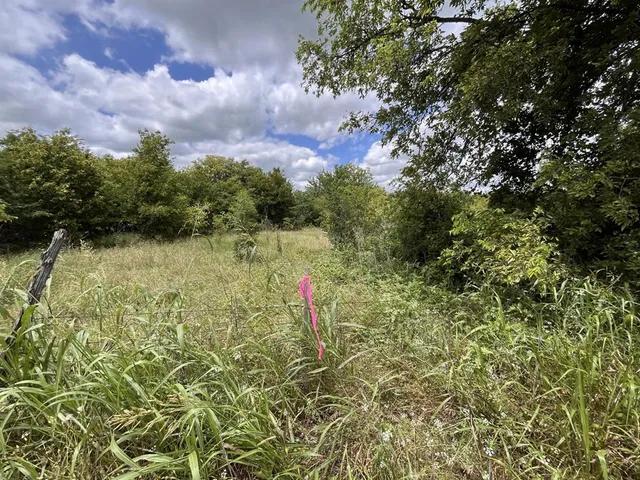 a view of a pathway both side of yard