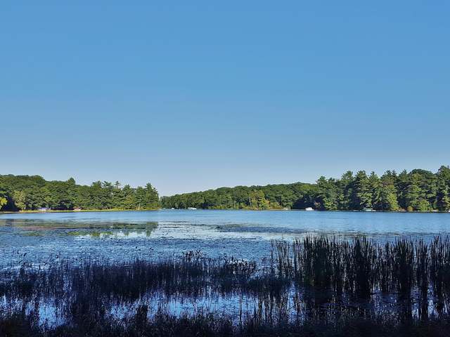 6552 Anderson Lake Road Land O'Lakes, WI 54540 - Photo 13 of 17 Gallery Image 13