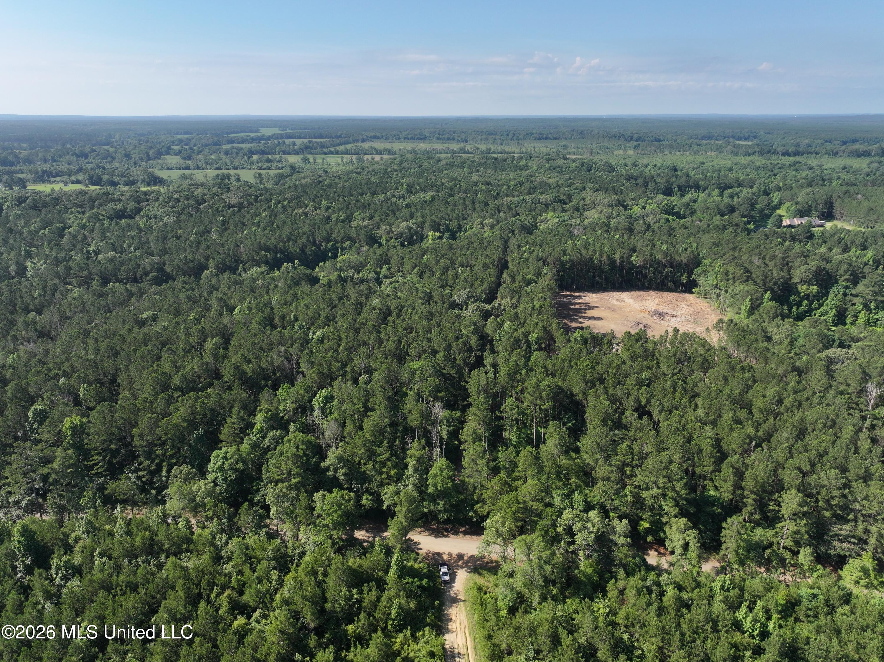 J C Prestage Road Pelahatchie, MS 39145 - Photo 12 of 24 17480FF0-31E5-4A9E-BABE-DC7D1E873DBA