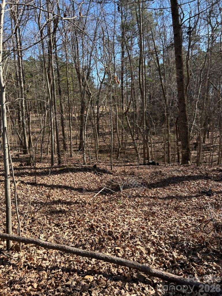 0 Alfred Lane Fort Mill, SC 29708 - Photo 2 of 3