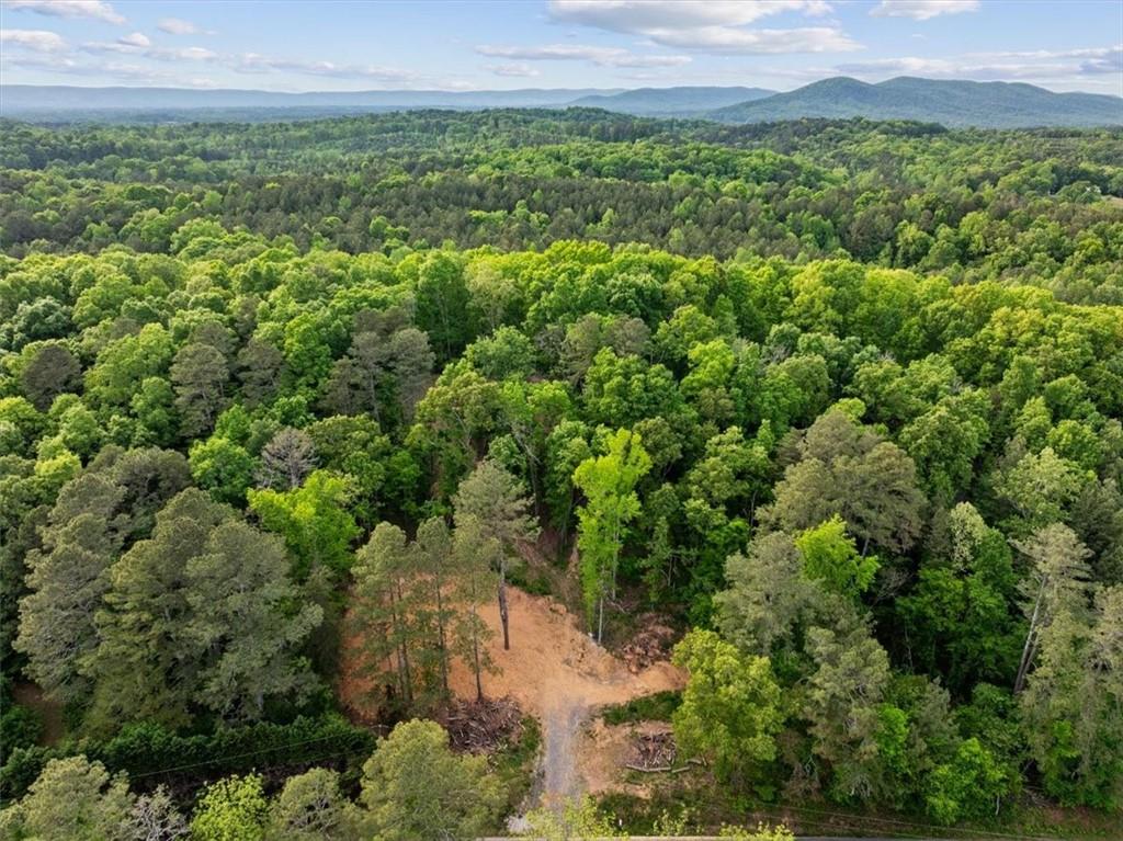 307 Moores Ferry Road Southwest Plainville, GA 30733 - Photo 12 of 14