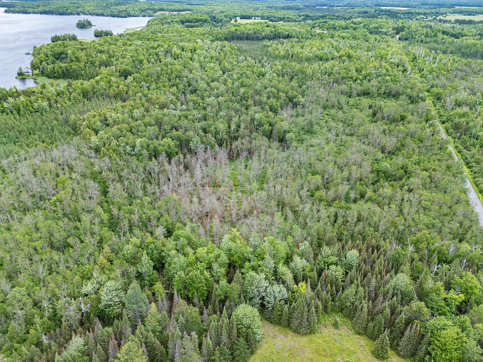 Three Lehman Road Three Lakes, WI 54562 - Photo 8 of 18 Gallery Image 8