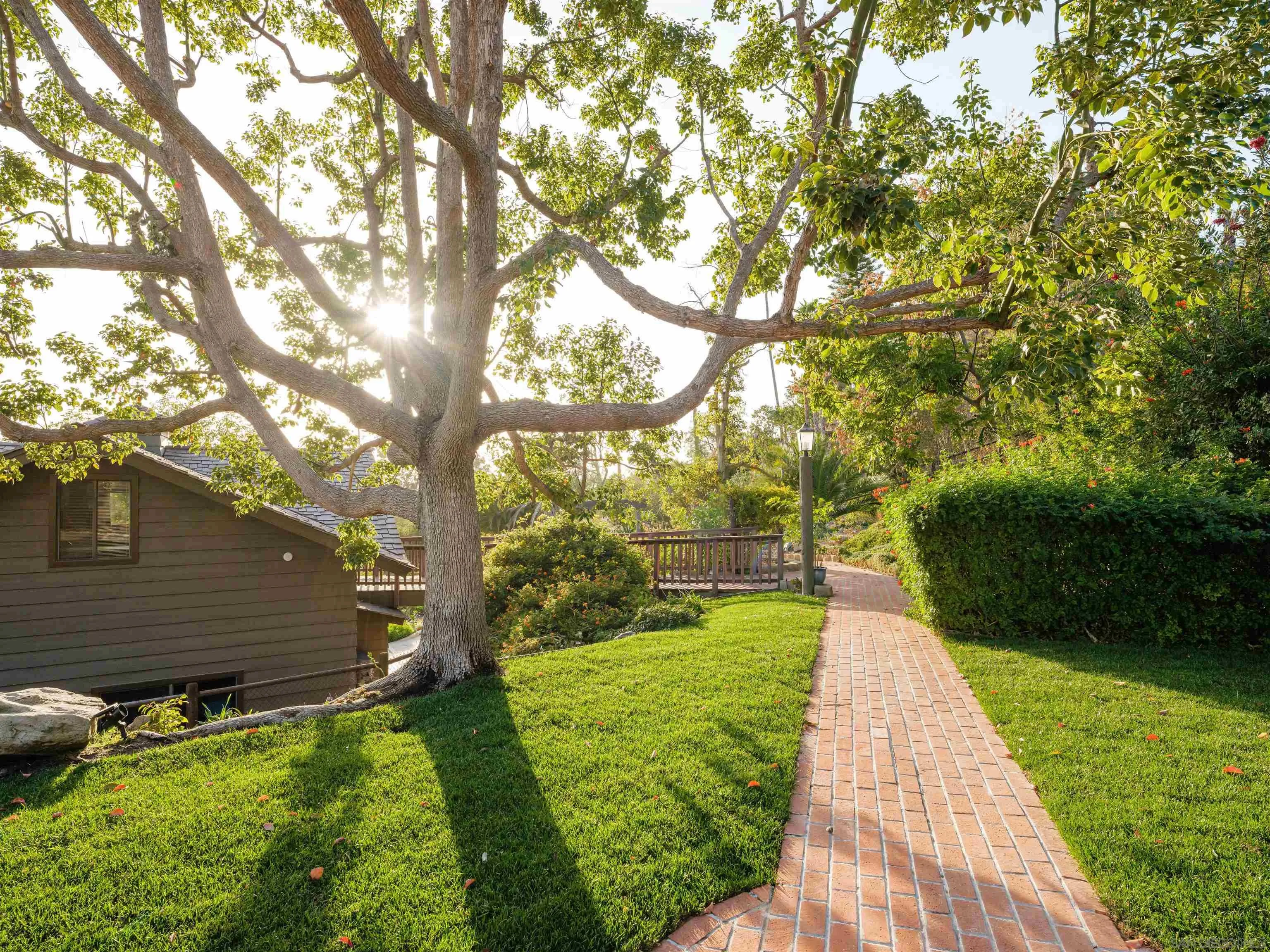 17136 El Mirador Rancho Santa Fe, CA 92067 - Photo 5 of 58 a backyard of a house with lots of green space
