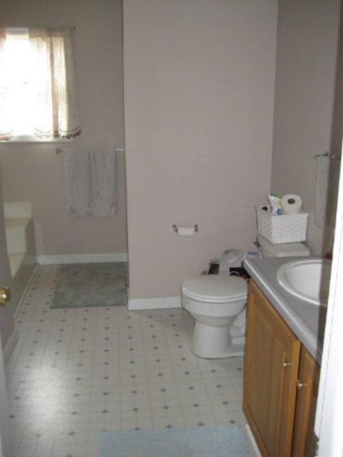 2171 Whispering Springs Road Harrisonburg, VA 22801 - Photo 6 of 11 a bathroom with a toilet sink and mirror