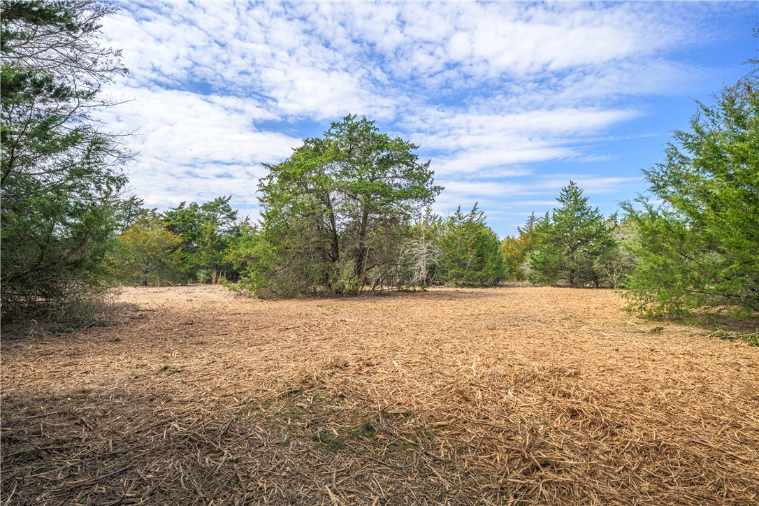 4 Independence Carmine, TX 78932 - Photo 2 of 9 a view of big yard with large trees