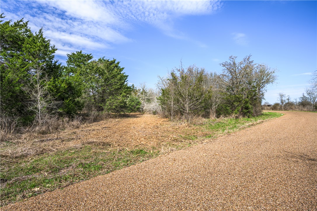 4 Independence Carmine, TX 78932 - Photo 4 of 9 a view of a yard with a tree