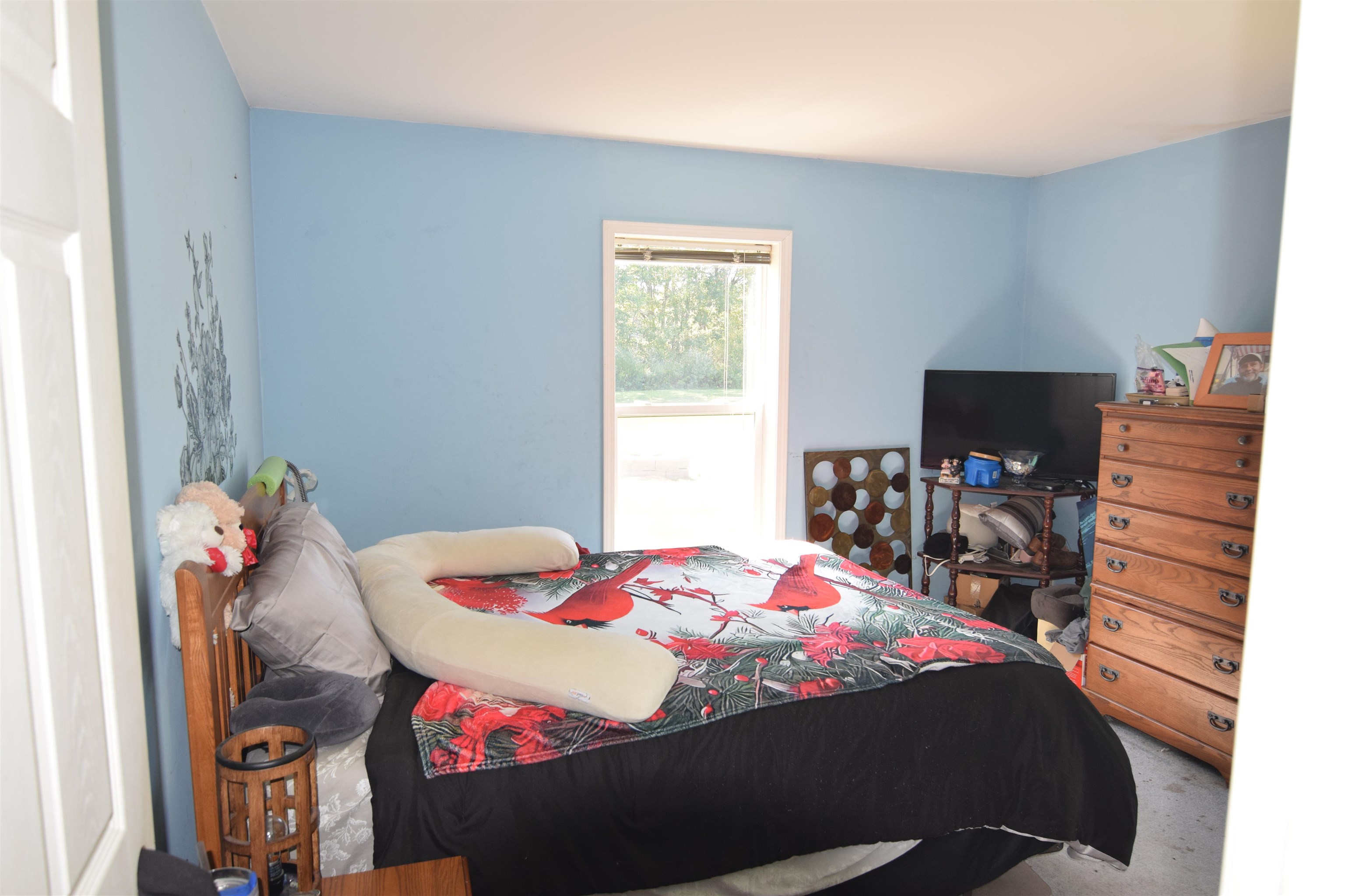17 Meadow Road Goshen, NH 03752 - Photo 7 of 11