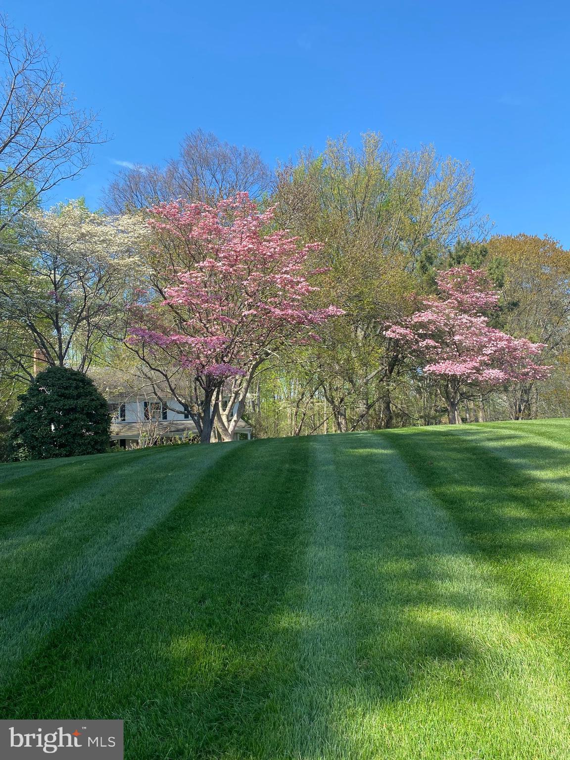 8 Apple Row Kennett Square, PA 19348 - Photo 3 of 35 Flowering Trees in Front yard