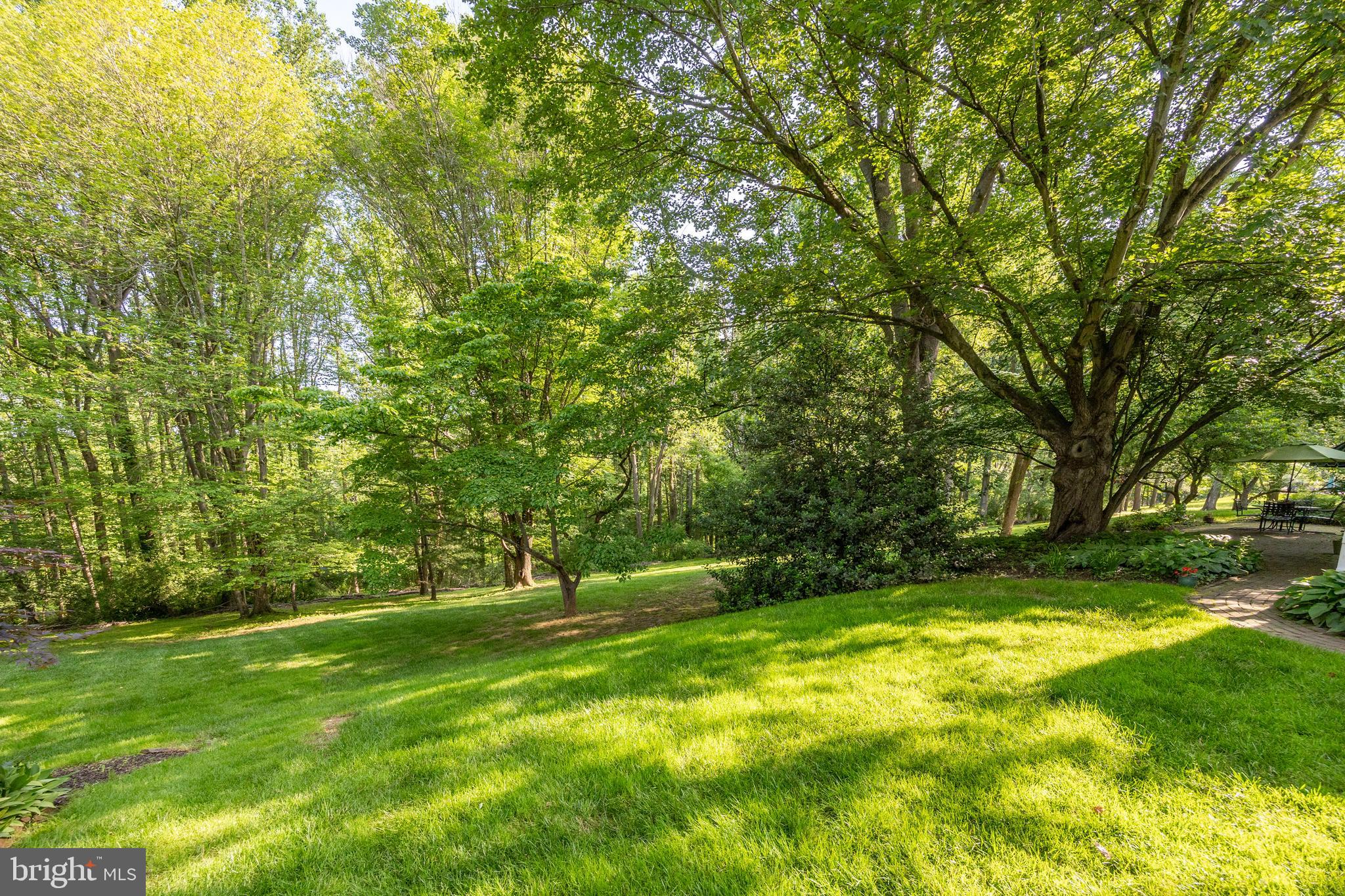 8 Apple Row Kennett Square, PA 19348 - Photo 33 of 35 View of Rear yard